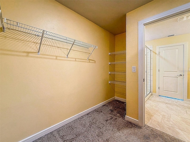 9324 Rally Spring Loop, Wesley Chapel, FL 33545 - walk in closet with carpet
