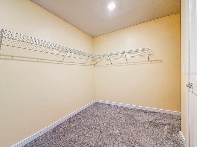9324 Rally Spring Loop, Wesley Chapel, FL 33545 - spacious closet with carpet floors