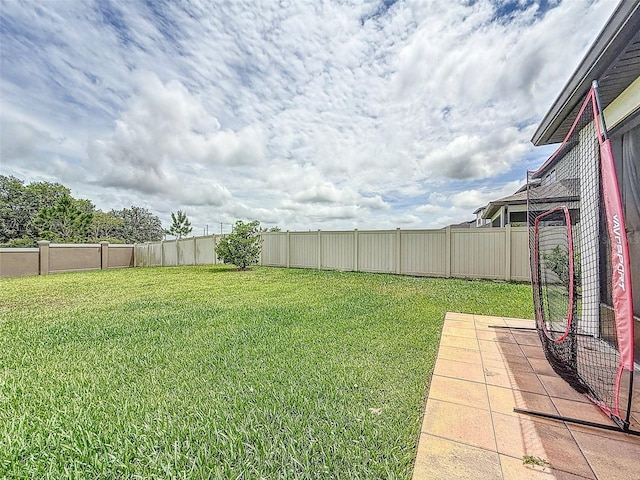 9324 Rally Spring Loop, Wesley Chapel, FL 33545 - view of yard