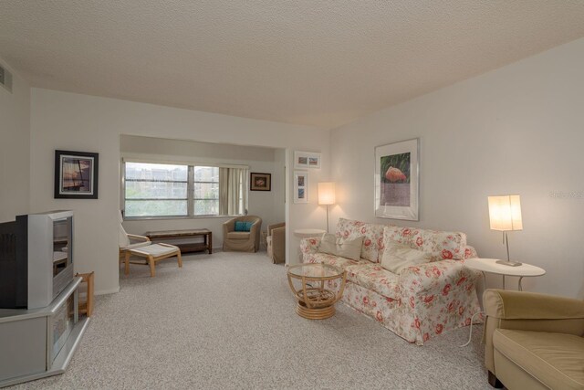 1241 S Martin Luther King Jr Ave Unit 302, Clearwater, FL 33756 - living room with carpet floors and a textured ceiling
