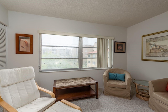 1241 S Martin Luther King Jr Ave Unit 302, Clearwater, FL 33756 - sitting room with carpet flooring and a textured ceiling