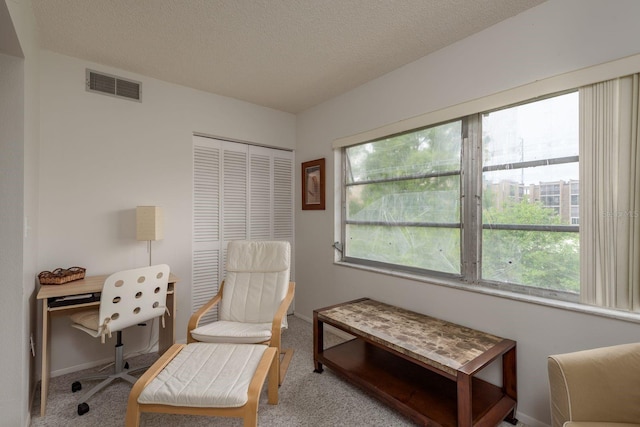 1241 S Martin Luther King Jr Ave Unit 302, Clearwater, FL 33756 - living area featuring carpet, baseboards, a desk, and a textured ceiling