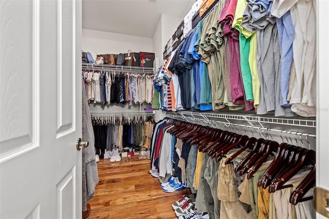 spacious closet featuring wood finished floors
