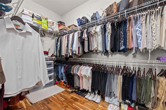 walk in closet featuring wood finished floors