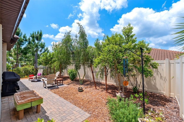 3877 Burdick Loop, Odessa, FL 33556 - view of patio / terrace featuring a fenced backyard and area for grilling