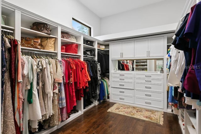 17124 Crawley Rd, Odessa, FL 33556 - spacious closet with dark wood-style floors