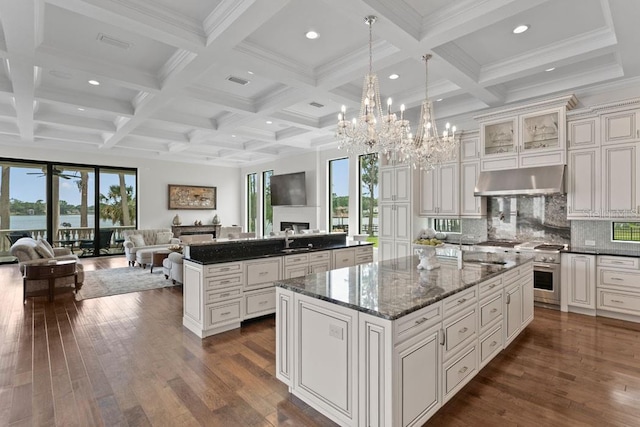 17124 Crawley Rd, Odessa, FL 33556 - kitchen featuring a large island, under cabinet range hood, open floor plan, a sink, and high end stove