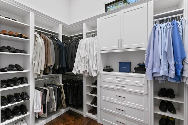 17124 Crawley Rd, Odessa, FL 33556 - spacious closet featuring dark wood-style flooring
