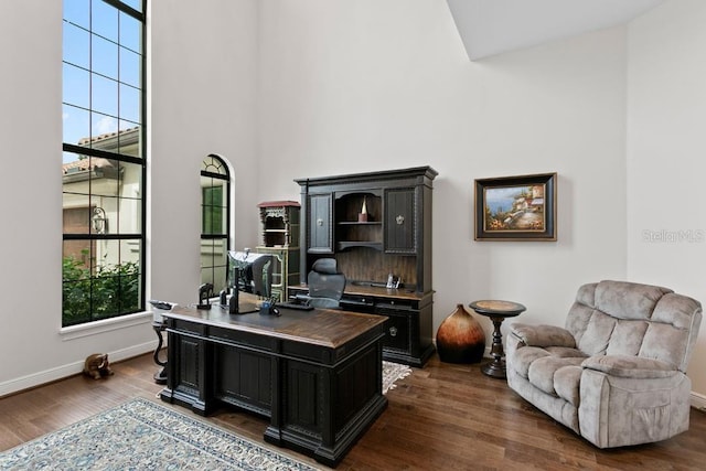 17124 Crawley Rd, Odessa, FL 33556 - office area featuring baseboards, healthy amount of natural light, dark wood finished floors, and a high ceiling