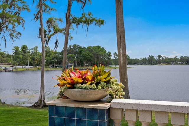 17124 Crawley Rd, Odessa, FL 33556 - water view