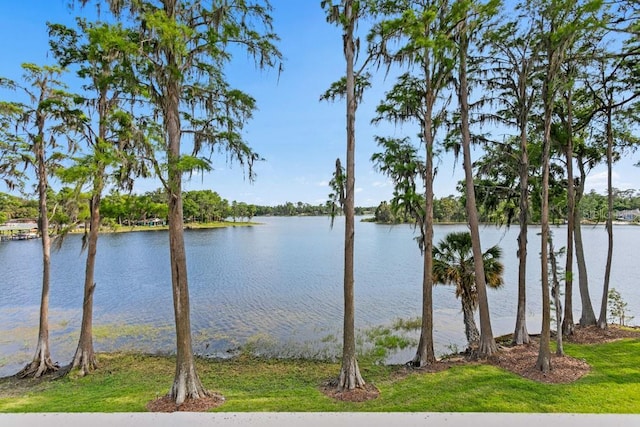 17124 Crawley Rd, Odessa, FL 33556 - water view