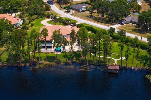 17124 Crawley Rd, Odessa, FL 33556 - bird's eye view of a nearby body of water