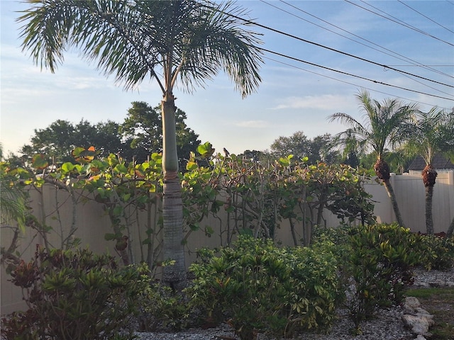 3357 Hunt Club Dr, Clearwater, FL 33761 - view of yard