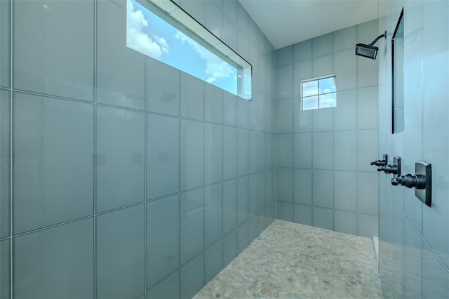 3515 Powerline Rd, Lithia, FL 33547 - full bathroom with a tile shower