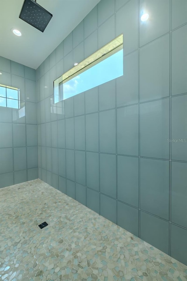 3515 Powerline Rd, Lithia, FL 33547 - full bath with a tile shower, healthy amount of natural light, and recessed lighting