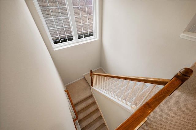 20039 Heritage Point Dr, Tampa, FL 33647 - staircase featuring carpet floors and baseboards