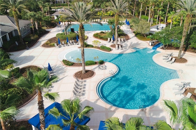 20039 Heritage Point Dr, Tampa, FL 33647 - community pool featuring a water slide