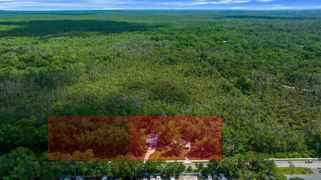 10170 W Yulee Dr, Homosassa, FL 34448 - bird's eye view of a forest