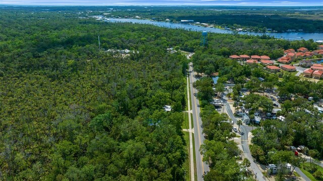 10170 W Yulee Dr, Homosassa, FL 34448 - view of property location featuring a forest and a nearby body of water