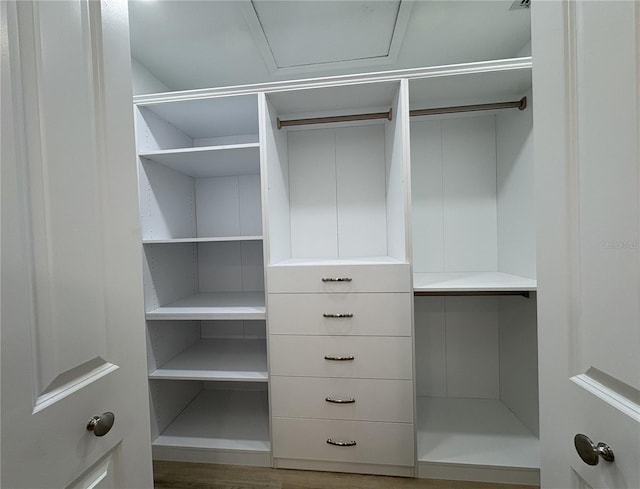 6533 Brentwood Dr, Zephyrhills, FL 33542 - view of closet