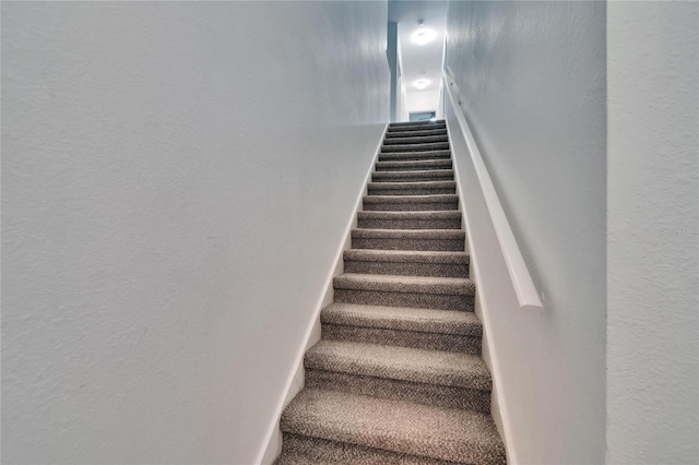 2220 Chianti Pl Unit 8-0828, Palm Harbor, FL 34683 - stairs featuring carpet and a textured wall