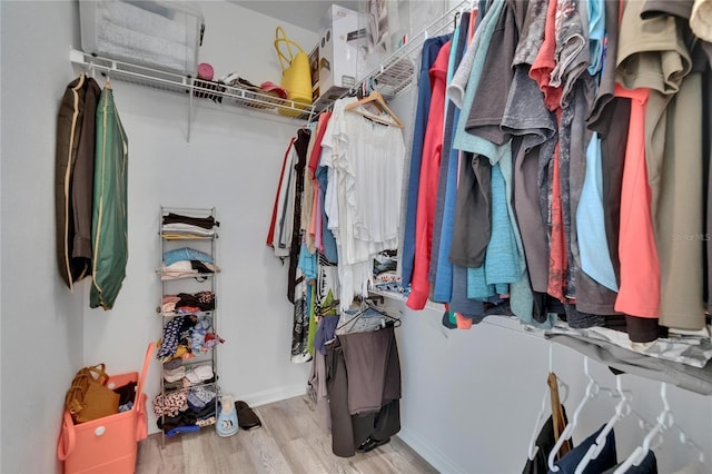 2220 Chianti Pl Unit 8-0828, Palm Harbor, FL 34683 - spacious closet with wood finished floors