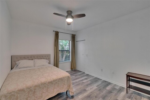 2220 Chianti Pl Unit 8-0828, Palm Harbor, FL 34683 - bedroom with light wood-type flooring, ceiling fan, and baseboards
