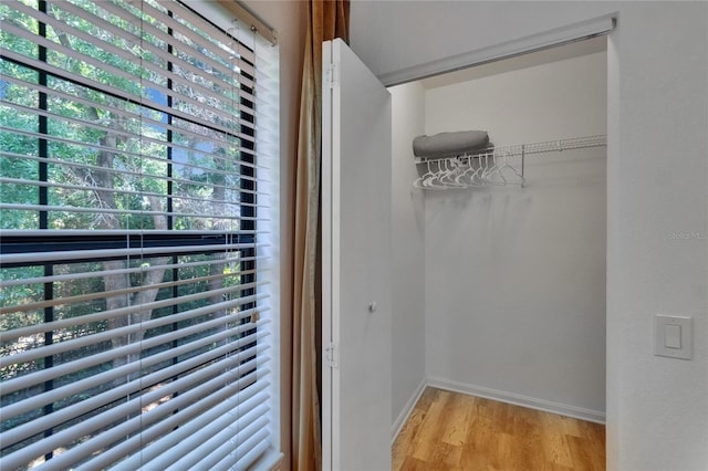 2220 Chianti Pl Unit 8-0828, Palm Harbor, FL 34683 - spacious closet with light wood-type flooring