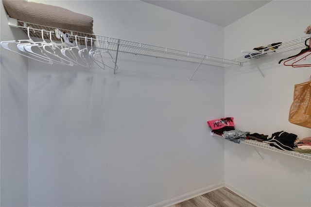 2220 Chianti Pl Unit 8-0828, Palm Harbor, FL 34683 - spacious closet featuring light wood-style floors