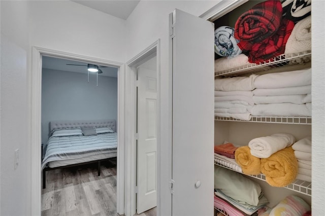 2220 Chianti Pl Unit 8-0828, Palm Harbor, FL 34683 - view of closet