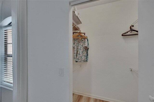2220 Chianti Pl Unit 8-0828, Palm Harbor, FL 34683 - walk in closet with light wood finished floors