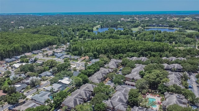 2220 Chianti Pl Unit 8-0828, Palm Harbor, FL 34683 - aerial perspective of suburban area with a forest and a nearby body of water