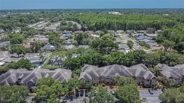2220 Chianti Pl Unit 8-0828, Palm Harbor, FL 34683 - aerial view of residential area with a forest