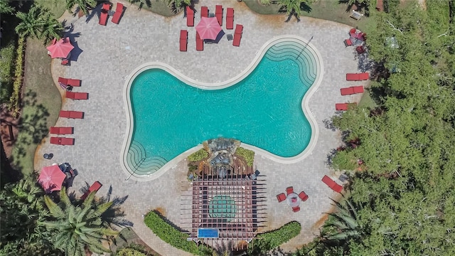 2220 Chianti Pl Unit 8-0828, Palm Harbor, FL 34683 - view of swimming pool