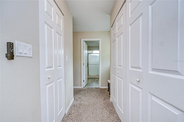 2020 Elk Spring Dr, Brandon, FL 33511 - hall featuring carpet, baseboards, and a textured ceiling