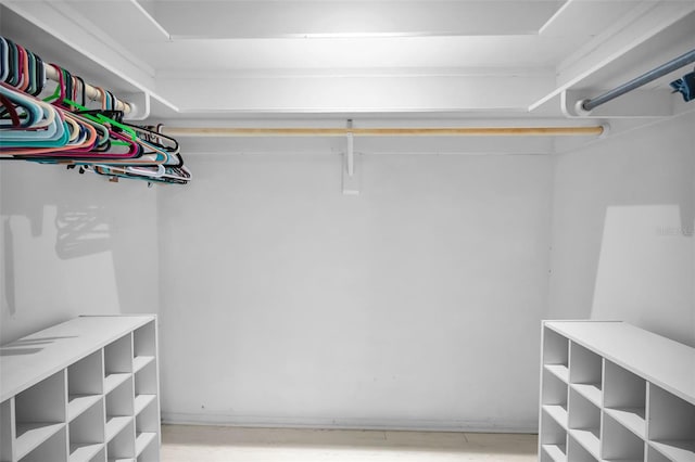 2485 Indigo Dr, Clearwater, FL 33763 - view of spacious closet