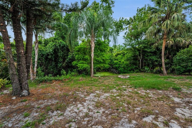 2485 Indigo Dr, Clearwater, FL 33763 - view of yard featuring an outdoor fire pit