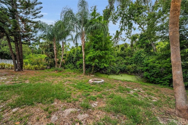 2485 Indigo Dr, Clearwater, FL 33763 - view of yard with an outdoor fire pit