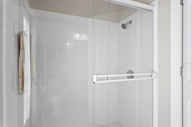 17318 Emerald Chase Dr, Tampa, FL 33647 - full bath featuring a stall shower