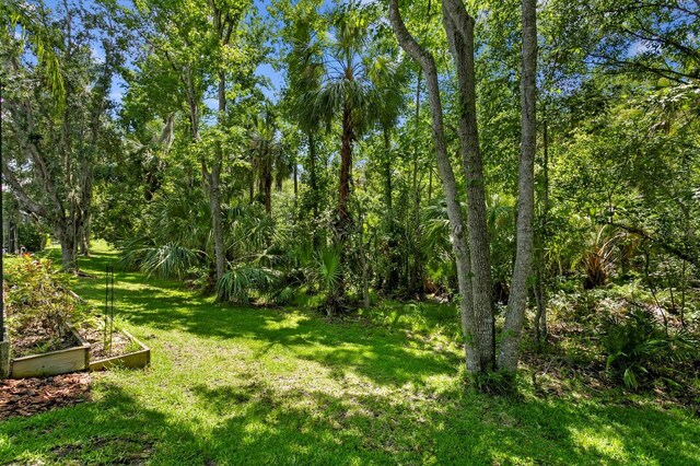 17318 Emerald Chase Dr, Tampa, FL 33647 - view of grassy yard featuring a garden