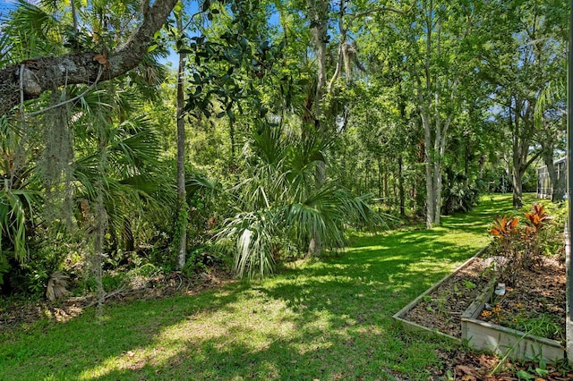 17318 Emerald Chase Dr, Tampa, FL 33647 - view of green lawn