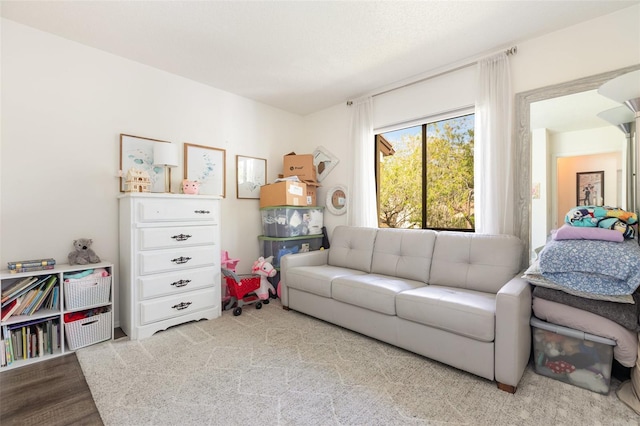 5666 Gardens Dr Unit 202, Sarasota, FL 34243 - living area with wood finished floors