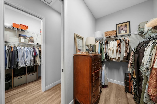 12705 Green Heron Way, Odessa, FL 33556 - walk in closet with light wood-style flooring