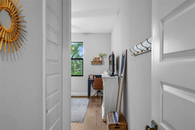 12705 Green Heron Way, Odessa, FL 33556 - corridor with light wood-style flooring and baseboards