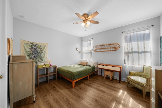12705 Green Heron Way, Odessa, FL 33556 - bedroom with multiple windows, wood finished floors, and baseboards