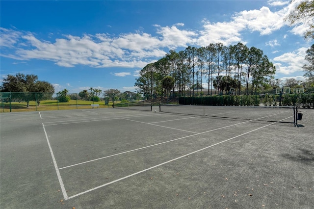 12705 Green Heron Way, Odessa, FL 33556 - view of tennis court