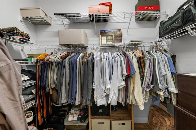 12705 Green Heron Way, Odessa, FL 33556 - view of walk in closet
