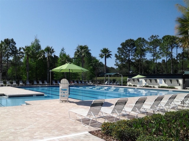 community pool featuring a patio area and view of scattered trees