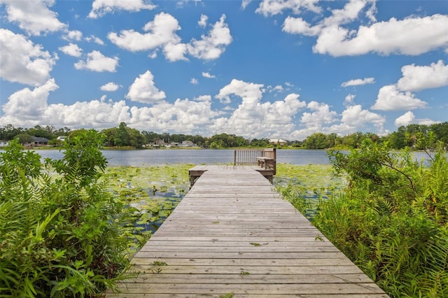 2814 W Humphrey St, Tampa, FL 33614 - dock area with a water view