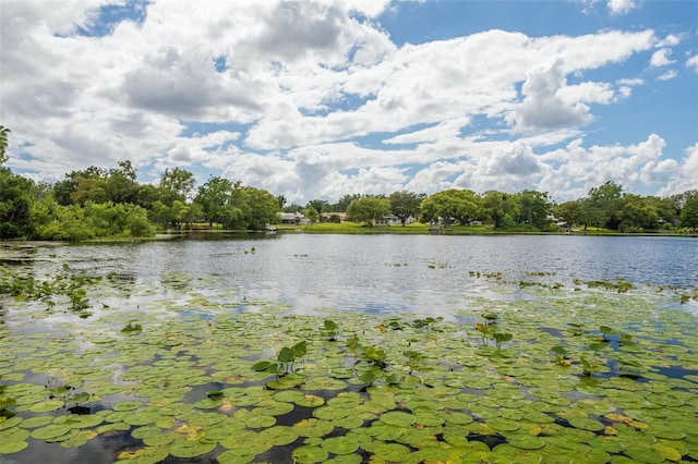 2814 W Humphrey St, Tampa, FL 33614 - water view